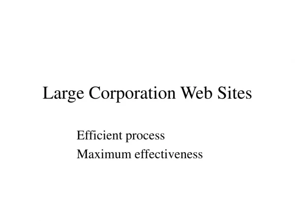 Large Corporation Web Sites