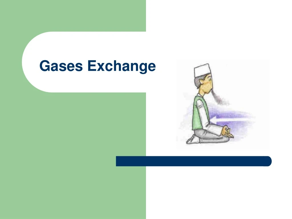 gases exchange