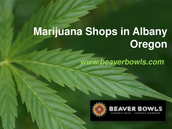Marijuana Shops in Albany Oregon - www.beaverbowls.com