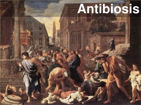 Antibiosis