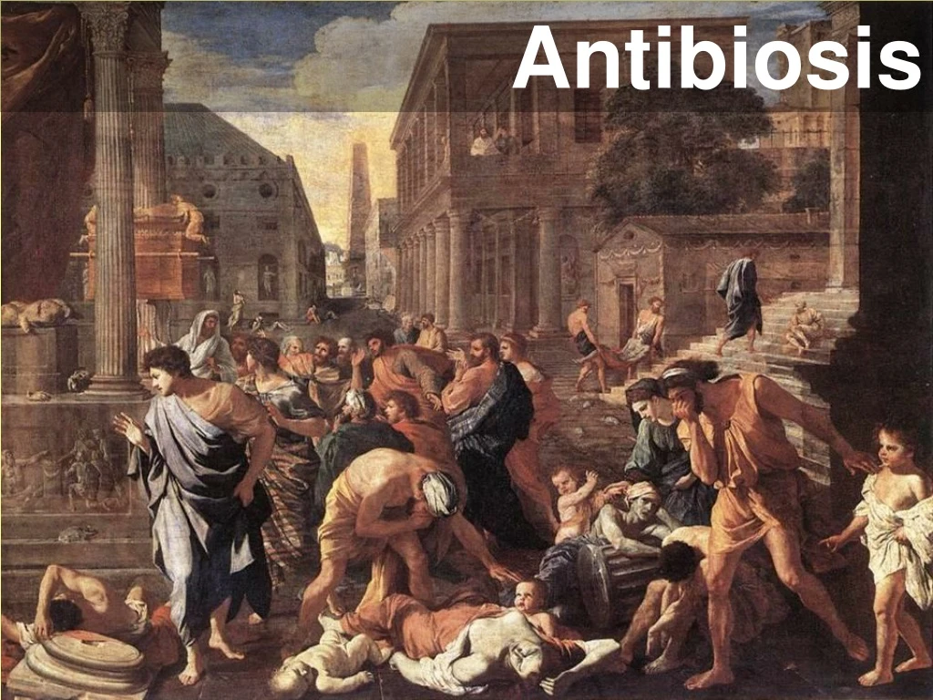 antibiosis