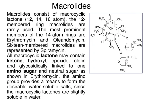 Macrolides