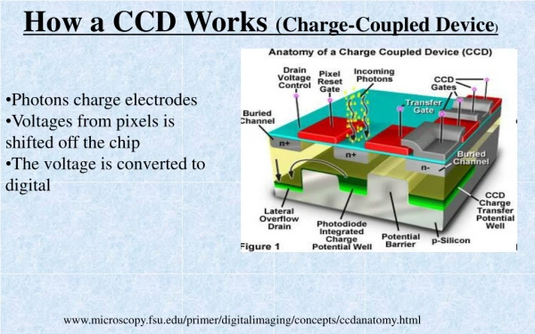 How a CCD Works (Charge-Coupled Device )