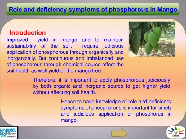 Role and deficiency symptoms of phosphorous in Mango