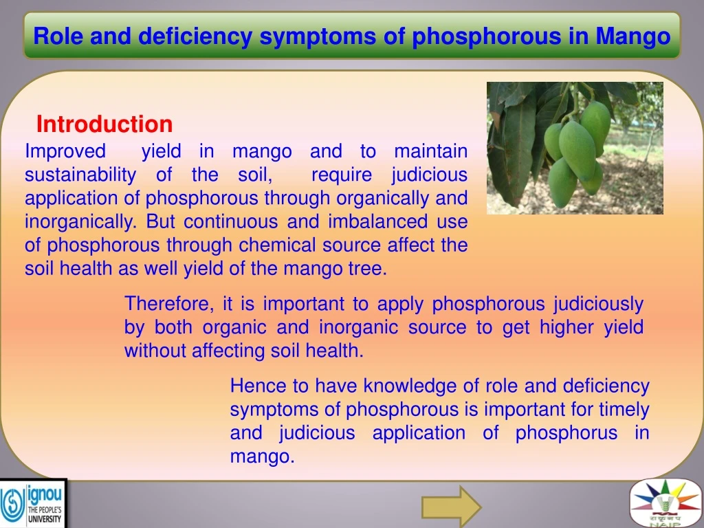 role and deficiency symptoms of phosphorous