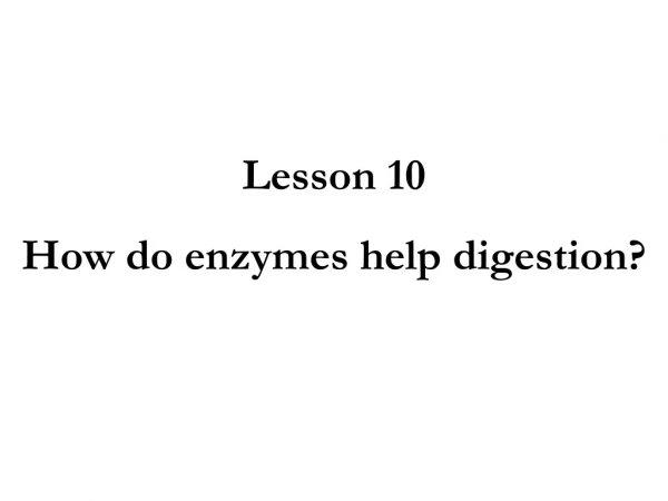 Lesson 10 How do enzymes help digestion?