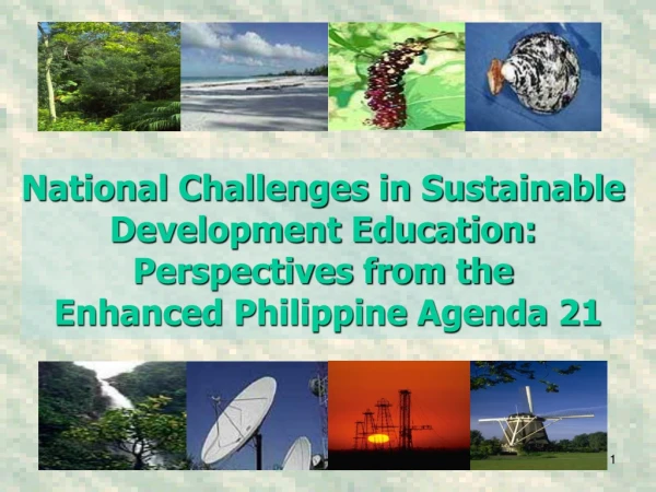 National Challenges in Sustainable Development Education: Perspectives from the