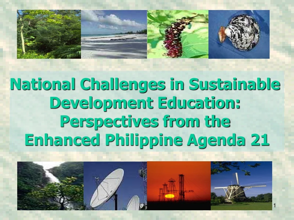 national challenges in sustainable development