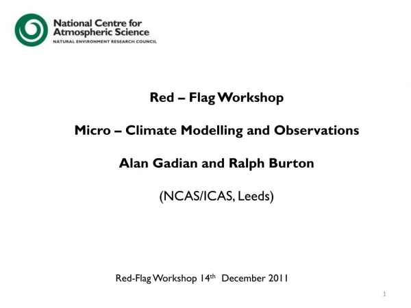 Red – Flag Workshop Micro – Climate Modelling and Observations Alan Gadian and Ralph Burton