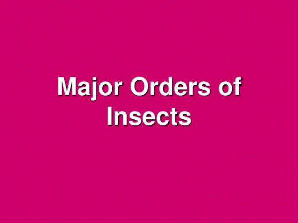 Major Orders of Insects