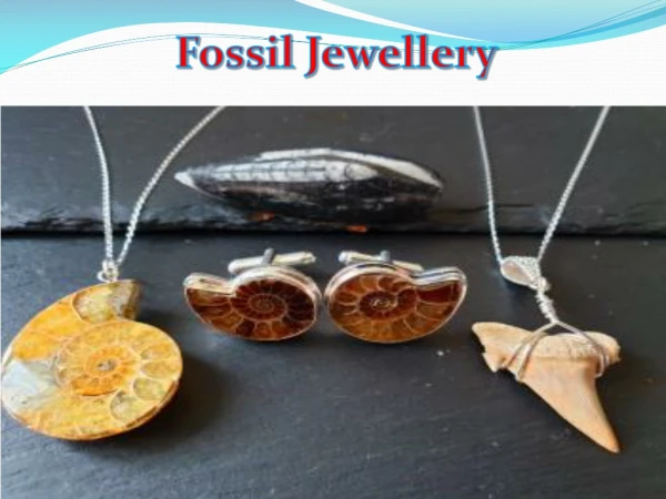 Are You Looking For Fossil Jewellery