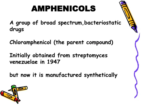 AMPHENICOLS
