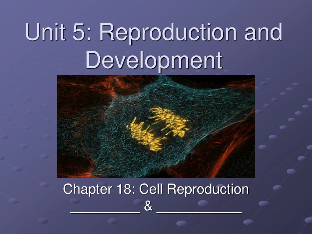 unit 5 reproduction and development