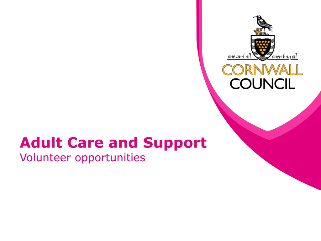 adult care and support volunteer opportunities