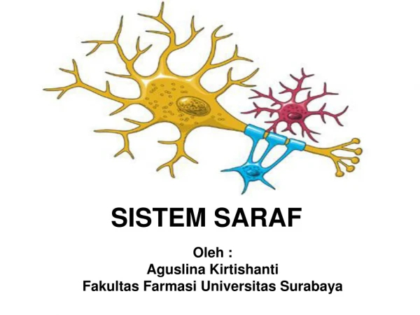 SISTEM SARAF