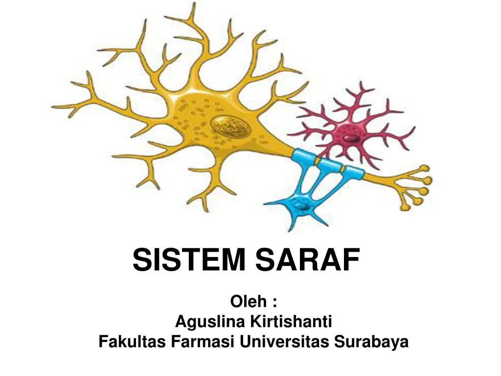 sistem saraf