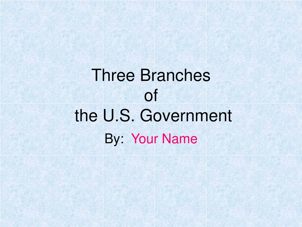 three branches of the u s government