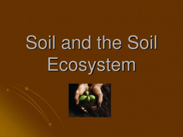 Soil and the Soil Ecosystem