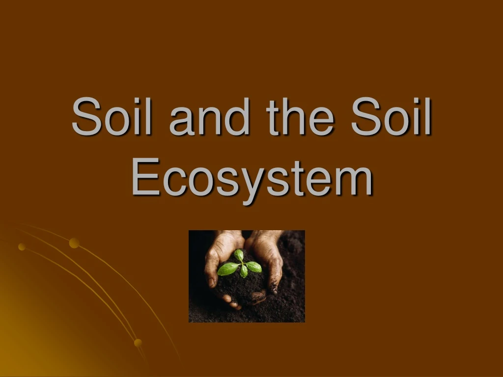 soil and the soil ecosystem