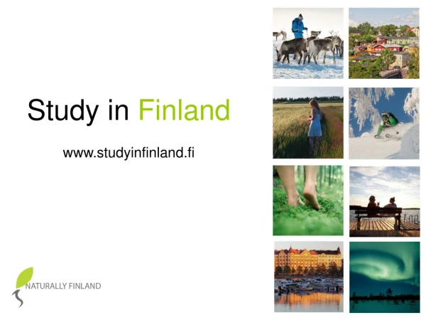 Study in Finland studyinfinland.fi