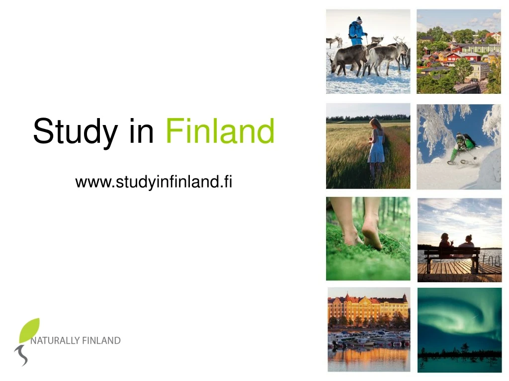 study in finland www studyinfinland fi