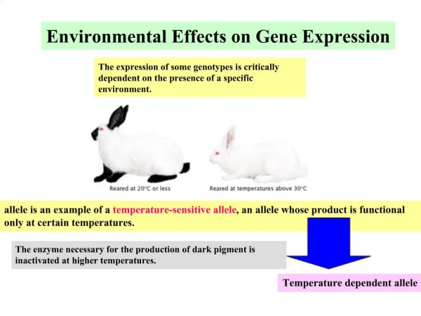 Environmental Effects on Gene Expression