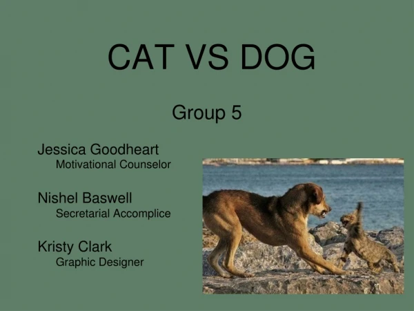 CAT VS DOG Group 5