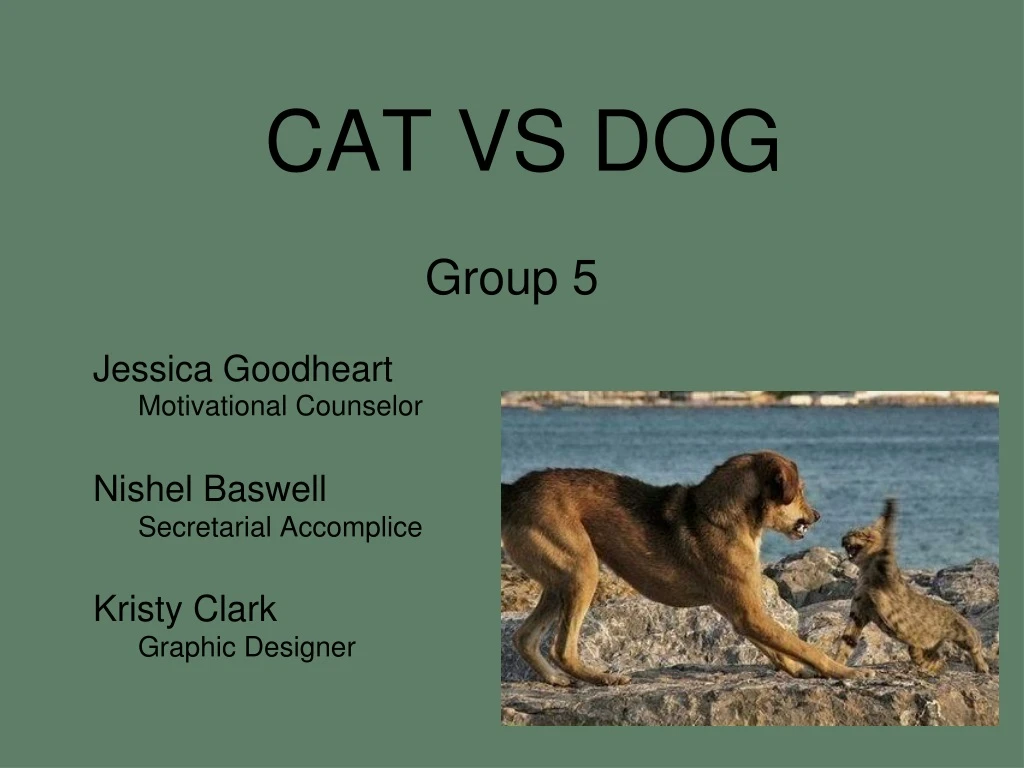 cat vs dog group 5