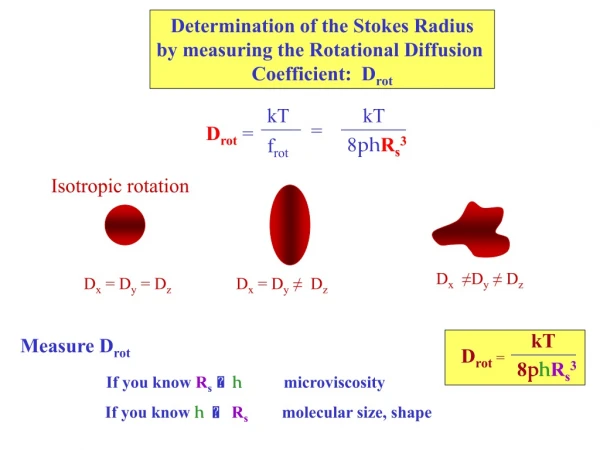 Determination of the Stokes Radius by measuring the Rotational Diffusion Coefficient: D rot