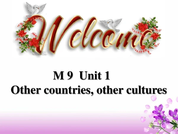 M 9 Unit 1 Other countries, other cultures