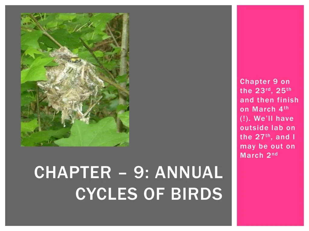 chapter 9 annual cycles of birds