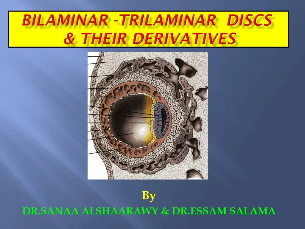 bilaminar trilaminar discs their derivatives