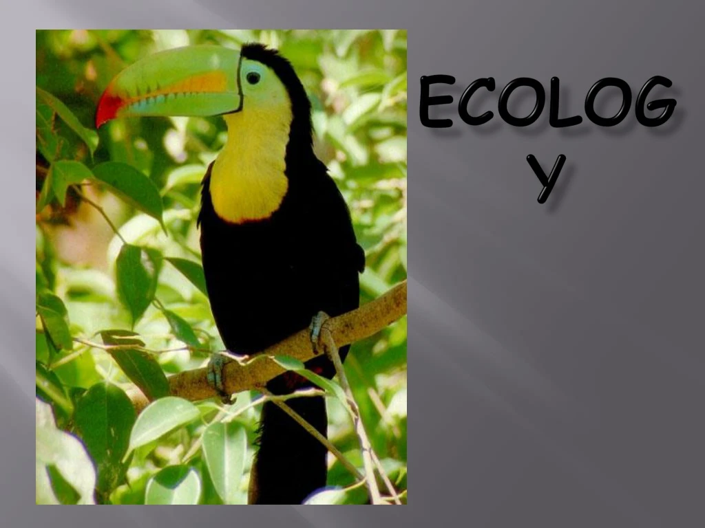 ecology