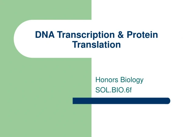 DNA Transcription &amp; Protein Translation