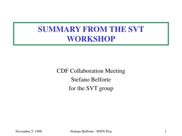 SUMMARY FROM THE SVT WORKSHOP