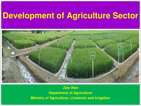 Development of Agriculture Sector