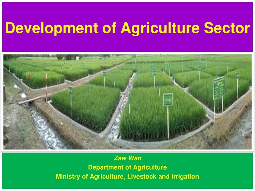 development of agriculture sector