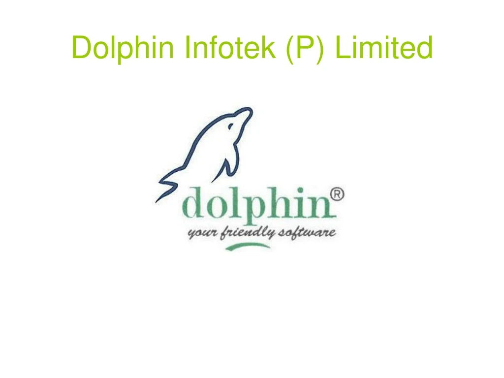 dolphin infotek p limited