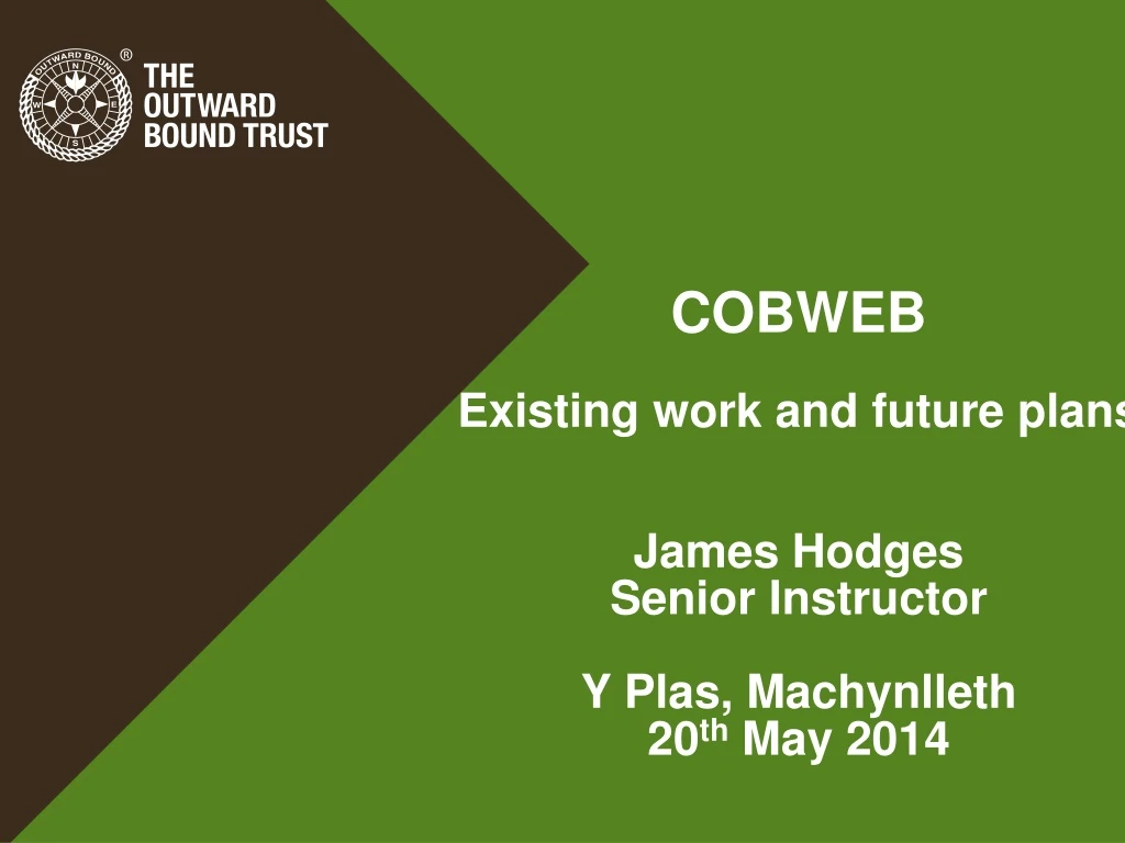 cobweb existing work and future plans james