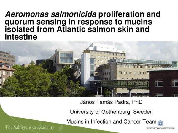 János Tamás Padra , PhD University of Gothenburg, Sweden Mucins in Infection and Cancer Team