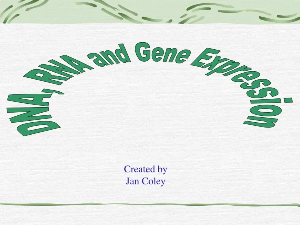 DNA, RNA and Gene Expression