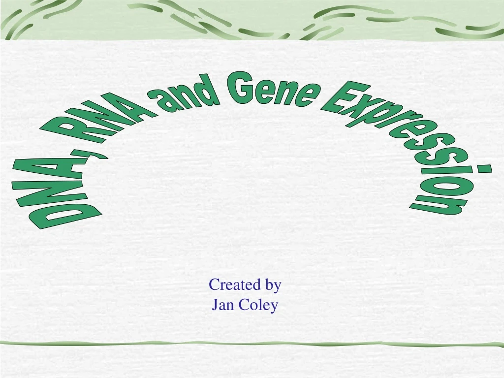dna rna and gene expression