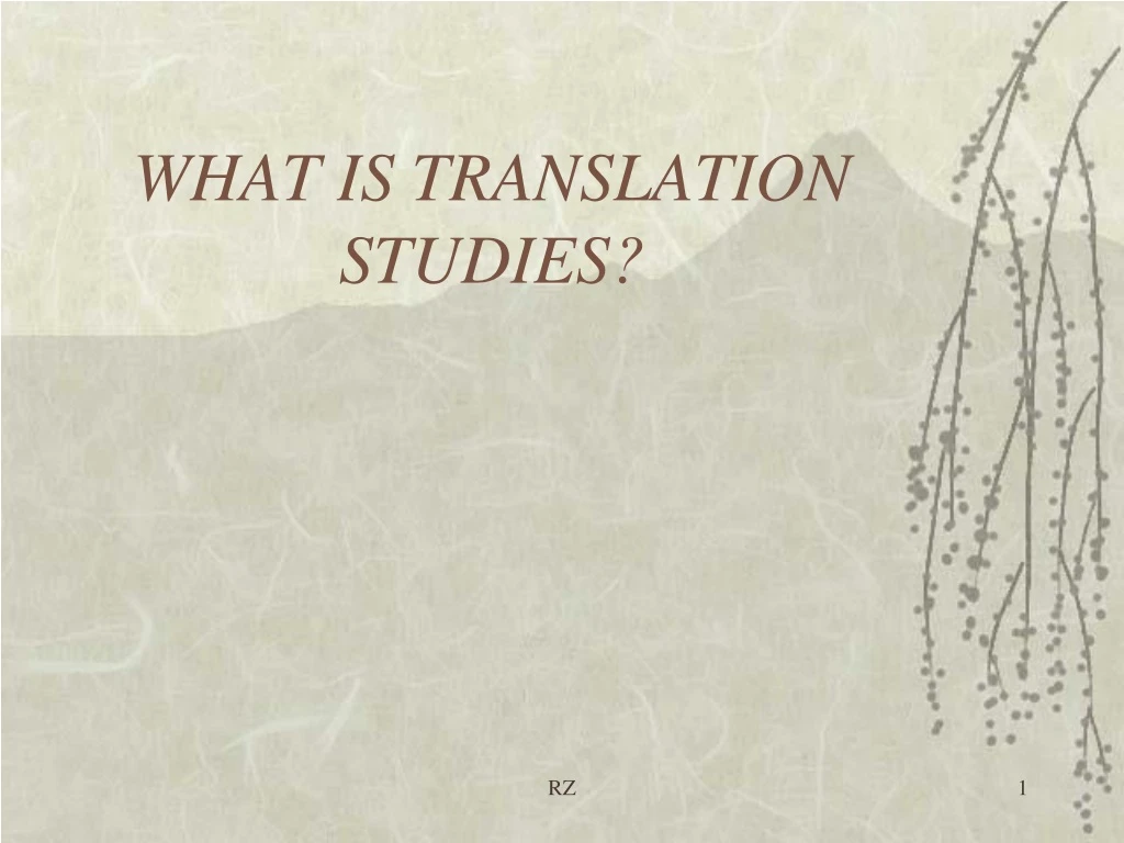 what is translation studies