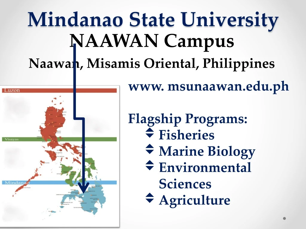 mindanao state university