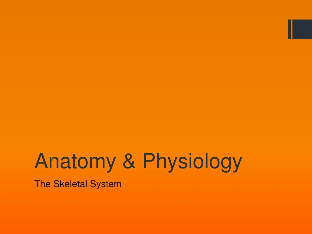 anatomy physiology