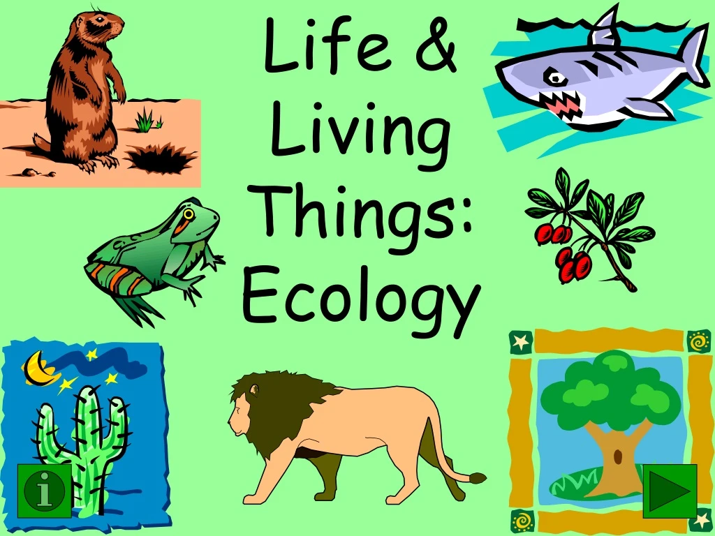 life living things ecology