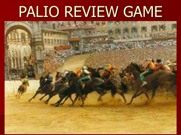 PALIO REVIEW GAME