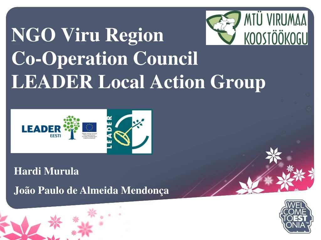 ngo viru region co operation council leader local action group