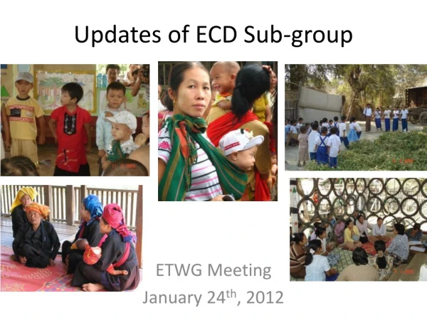 Updates of ECD Sub-group