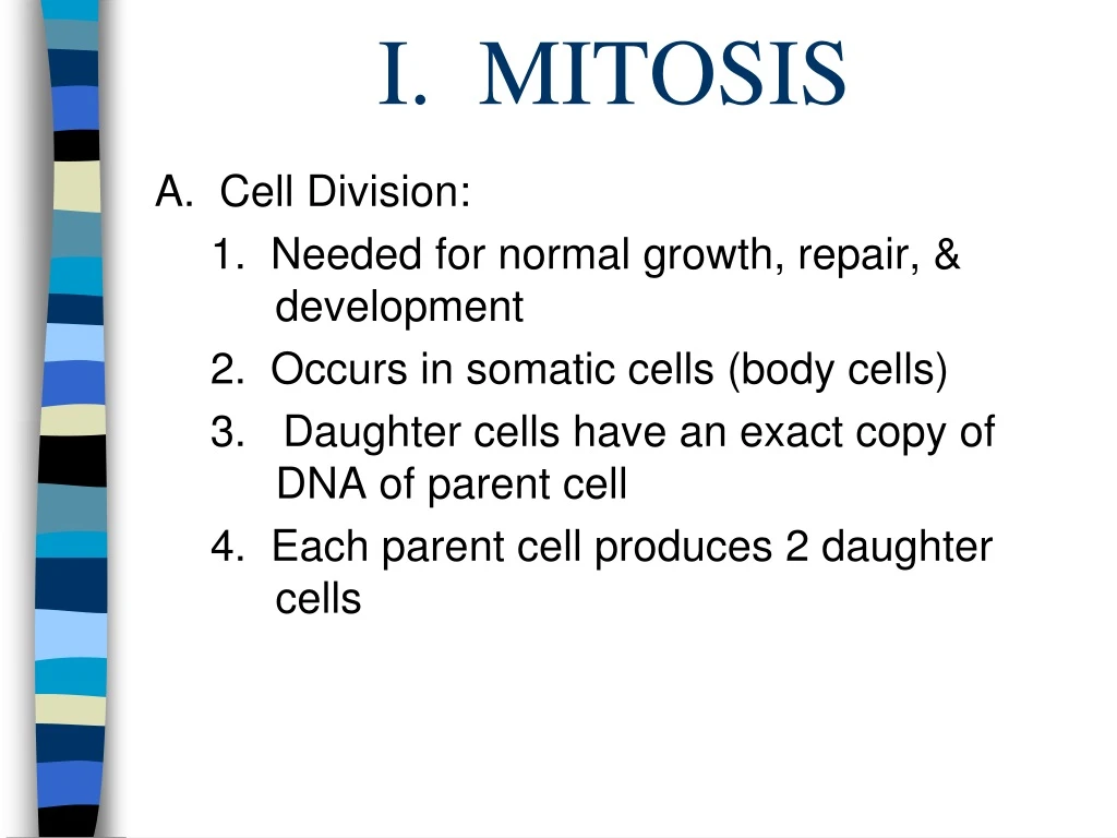 i mitosis